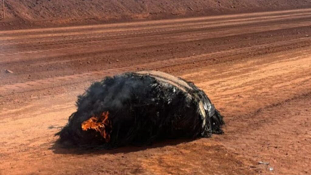 Charred chunks of space debris from a secret Chinese rocket still found smoldering in the Australian outback