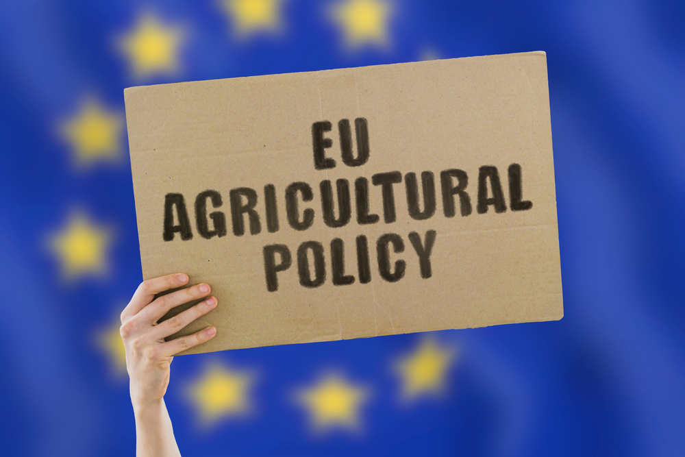 Scenario 2040 study charts the future of EU agriculture