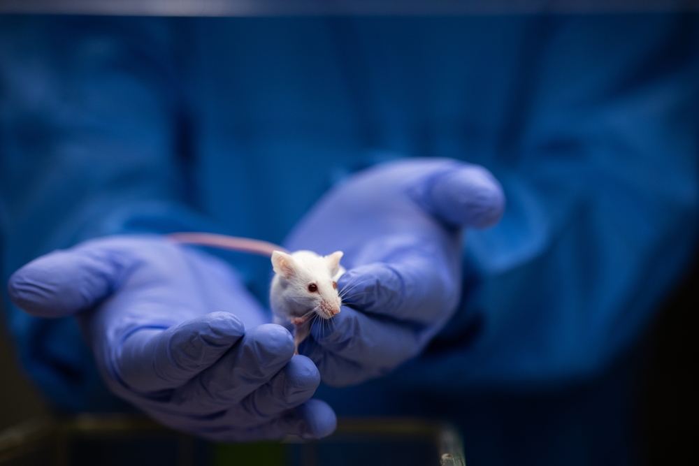 RSPCA calls for greater transparency in animal testing