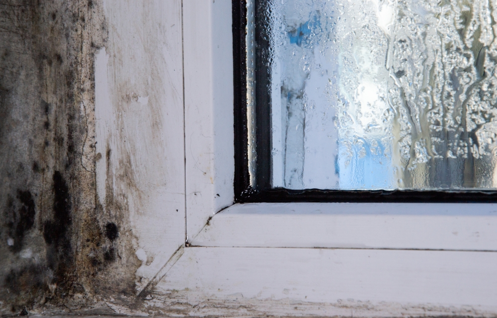 Awab law is enforced to protect tenants