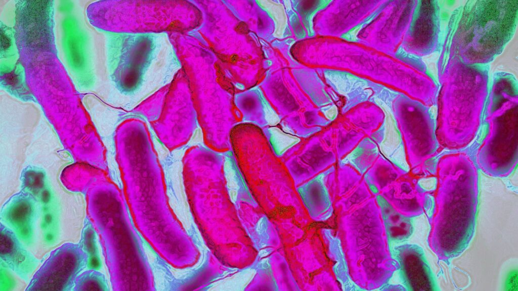 Scientists invent a way to create and dye rainbow-colored fabric in the lab using E. coli