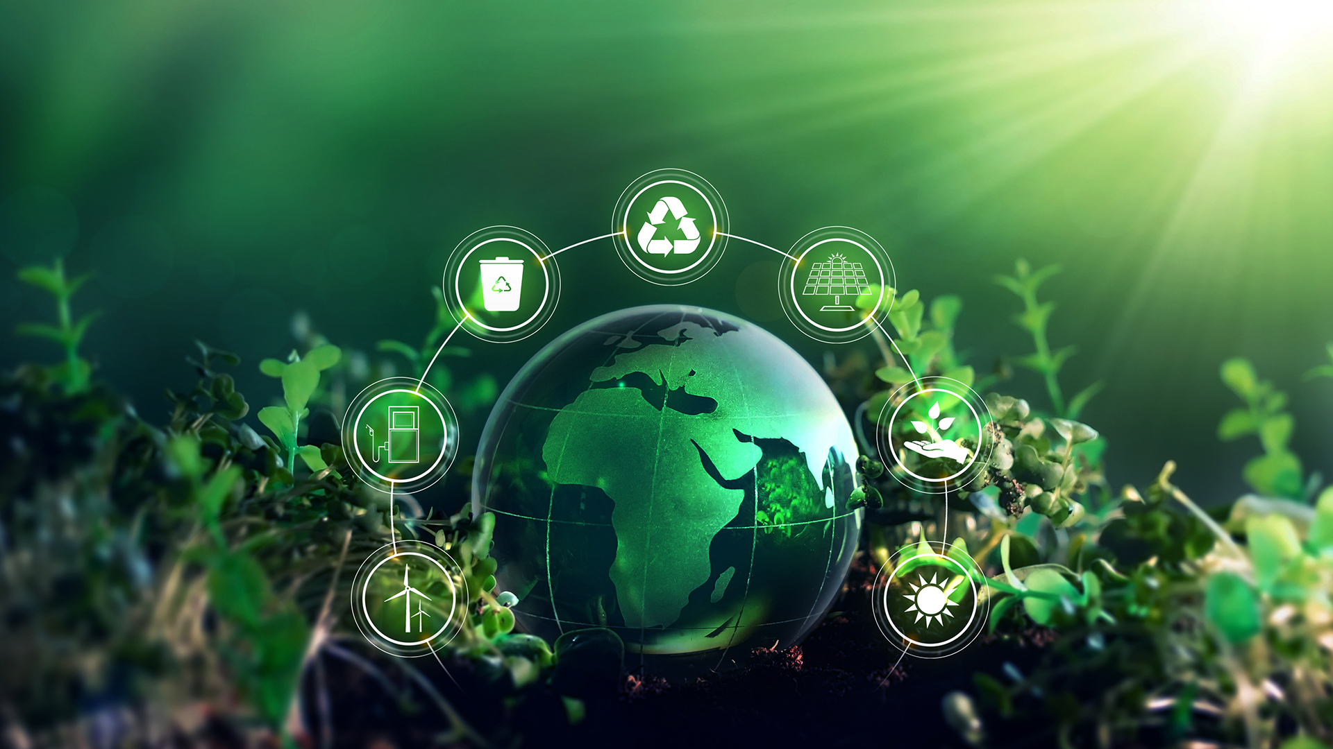 Biosolutions: Designing a sustainable future