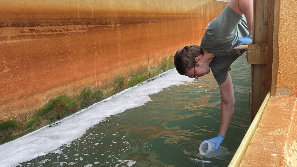 Investigation of AMR in wastewater