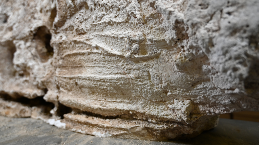 ‘They’ve never seen it before’: Romans made liquid plaster paste and smeared it on the dead before burial, leaving fingerprints, new study finds