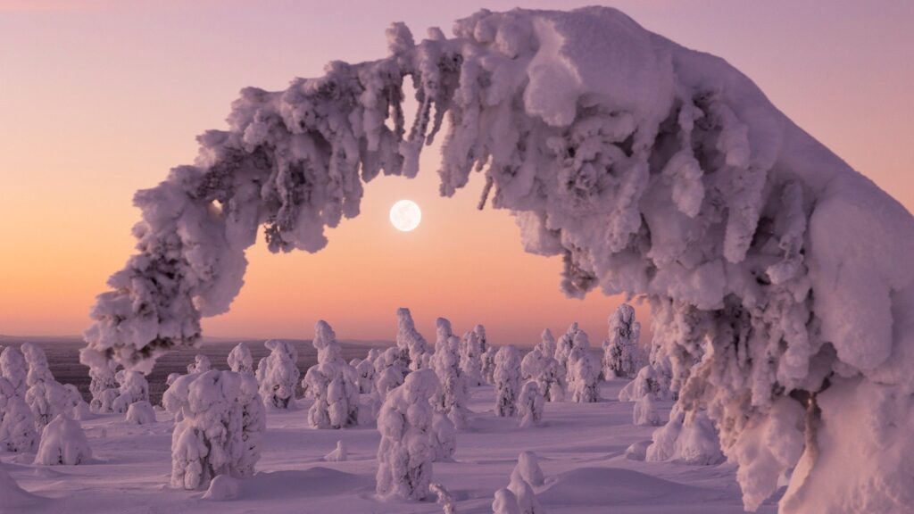 Winter Solstice 2025: The Ultimate Guide to the Shortest Day of the Year