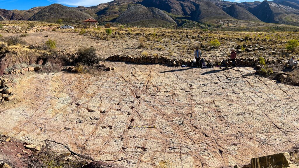 18,000 dinosaur footprints found on ancient Bolivian coastline, setting new record