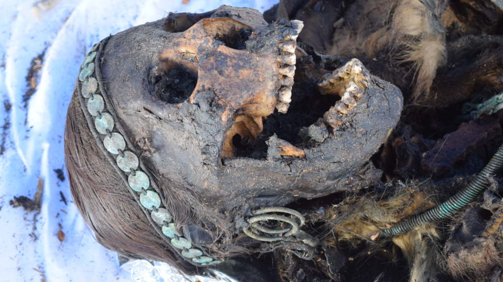 One of Siberia’s last shamans was an 18th-century woman whose parents were related, a DNA study reveals