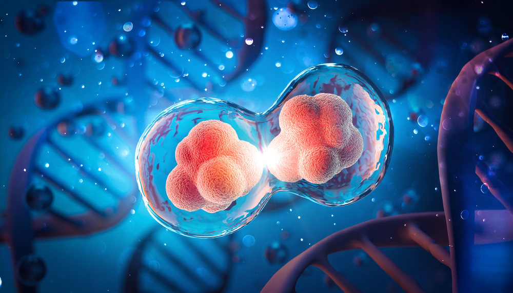 Breakthrough in cell division reveals hidden weaknesses in cancer