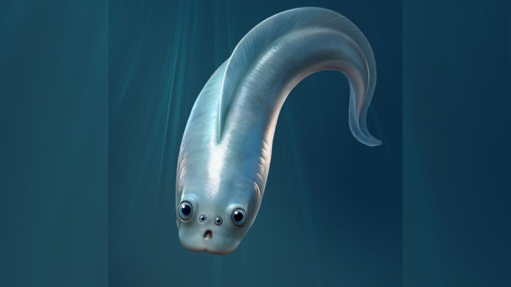 Our noodle-like ancestors had four eyes, 500 million-year-old fossil reveals