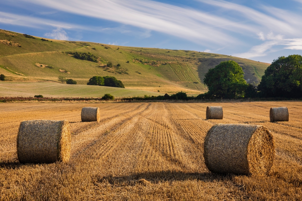 £21.5m grant to pioneer the future of UK farming