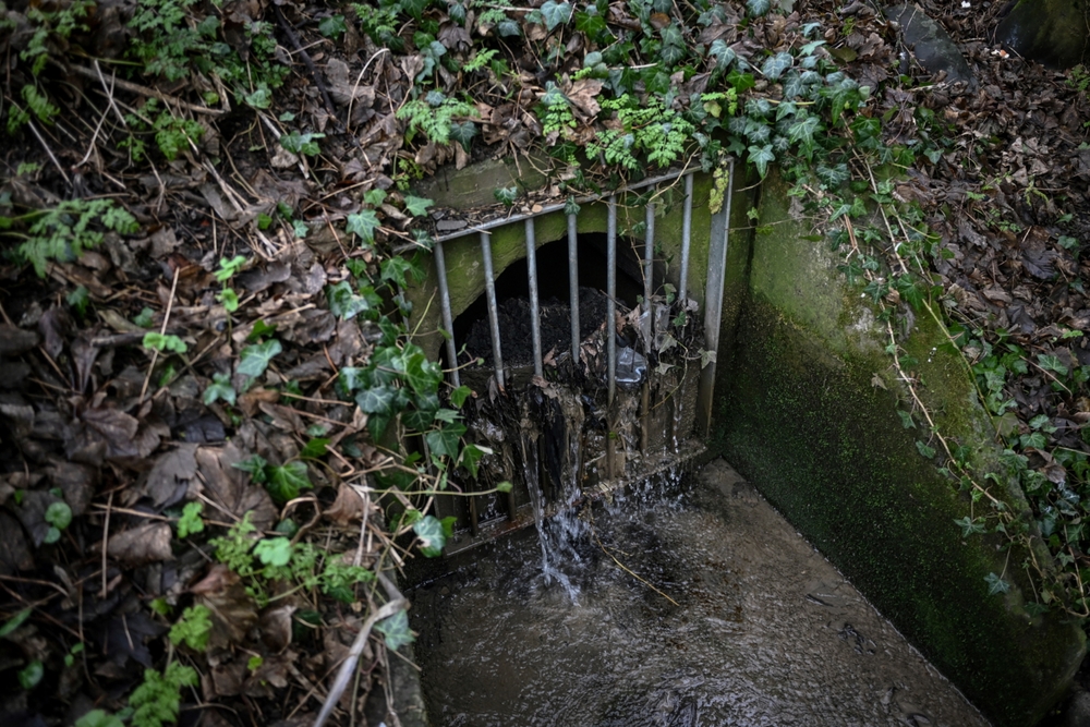 How D4RUNOFF tests a solution to urban stormwater pollution