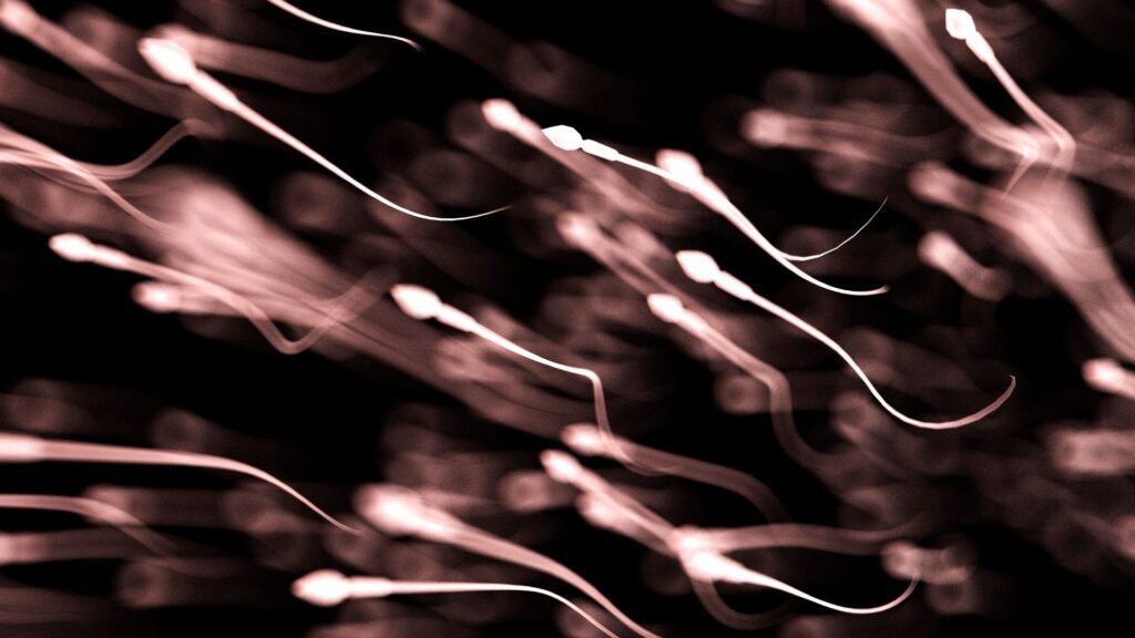 Study finds that sperm quality may change depending on the season