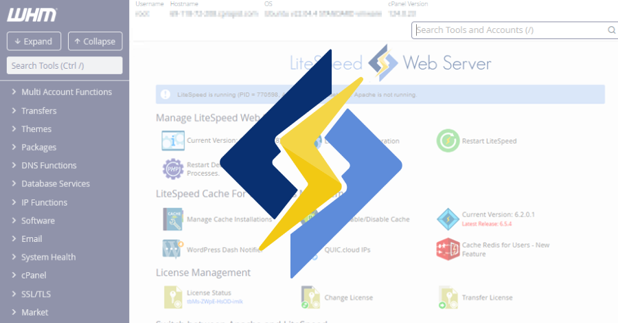 LiteSpeed cPanel plugin CVE-2026-48172 can be exploited to execute scripts as root.