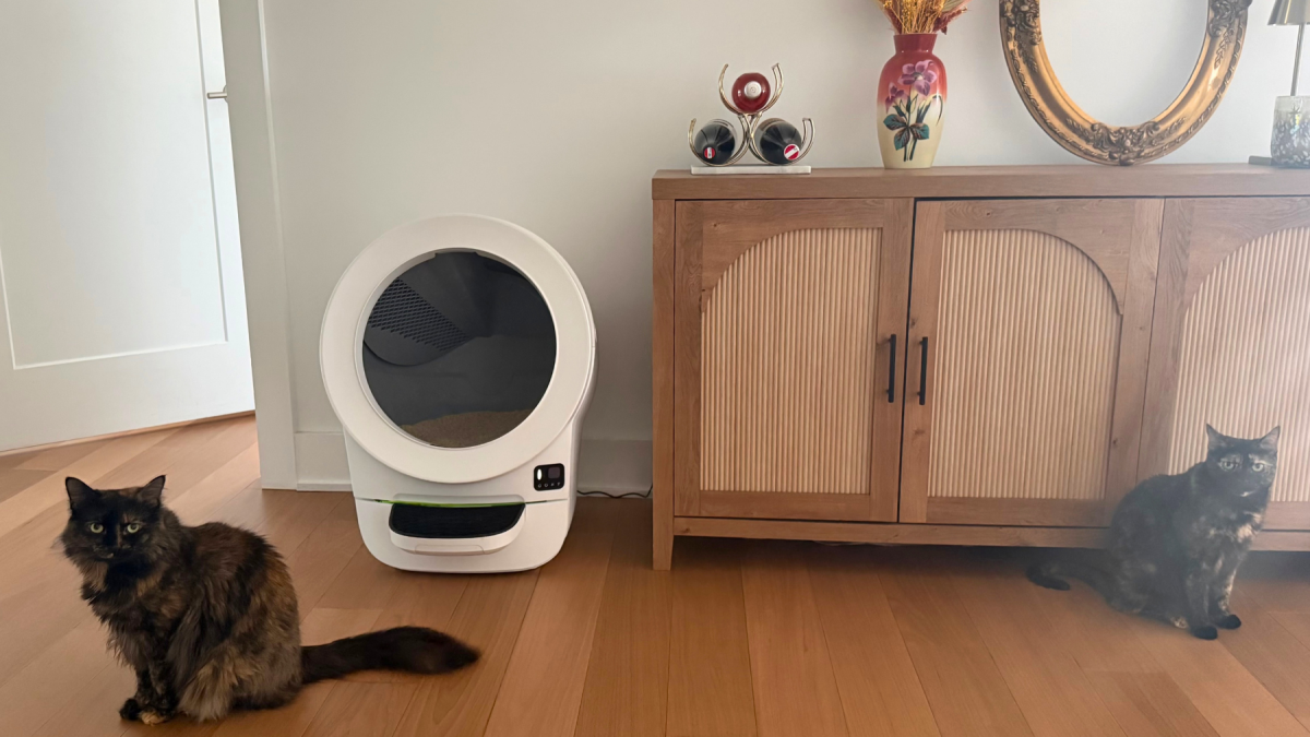 Litter-Robot EVO review: A mostly-reliable litter box for apartments that should be cheaper