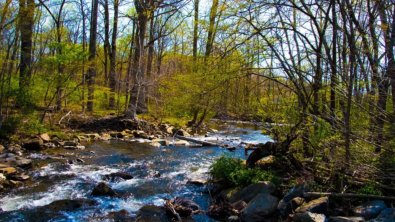 Rabid beavers attack 2 teens in the wild, forcing partial closure of Maryland park