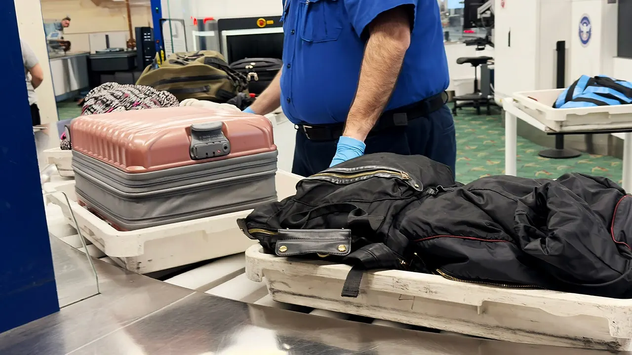 Mexican alligator lizards found smuggled in traveler’s socks at Tokyo airport