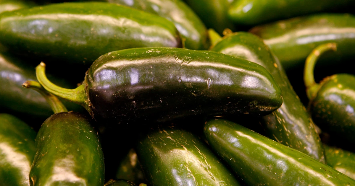 Now Qdoba: Chain Joins Chipotle in Pulling Jalapeños as Salmonella Outbreak Hits 27 States