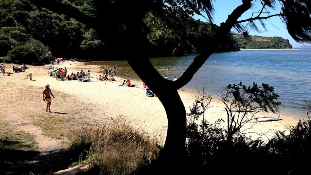 Two canoeists found dead on Tomales Bay after midnight canoe trip as inquiry begins