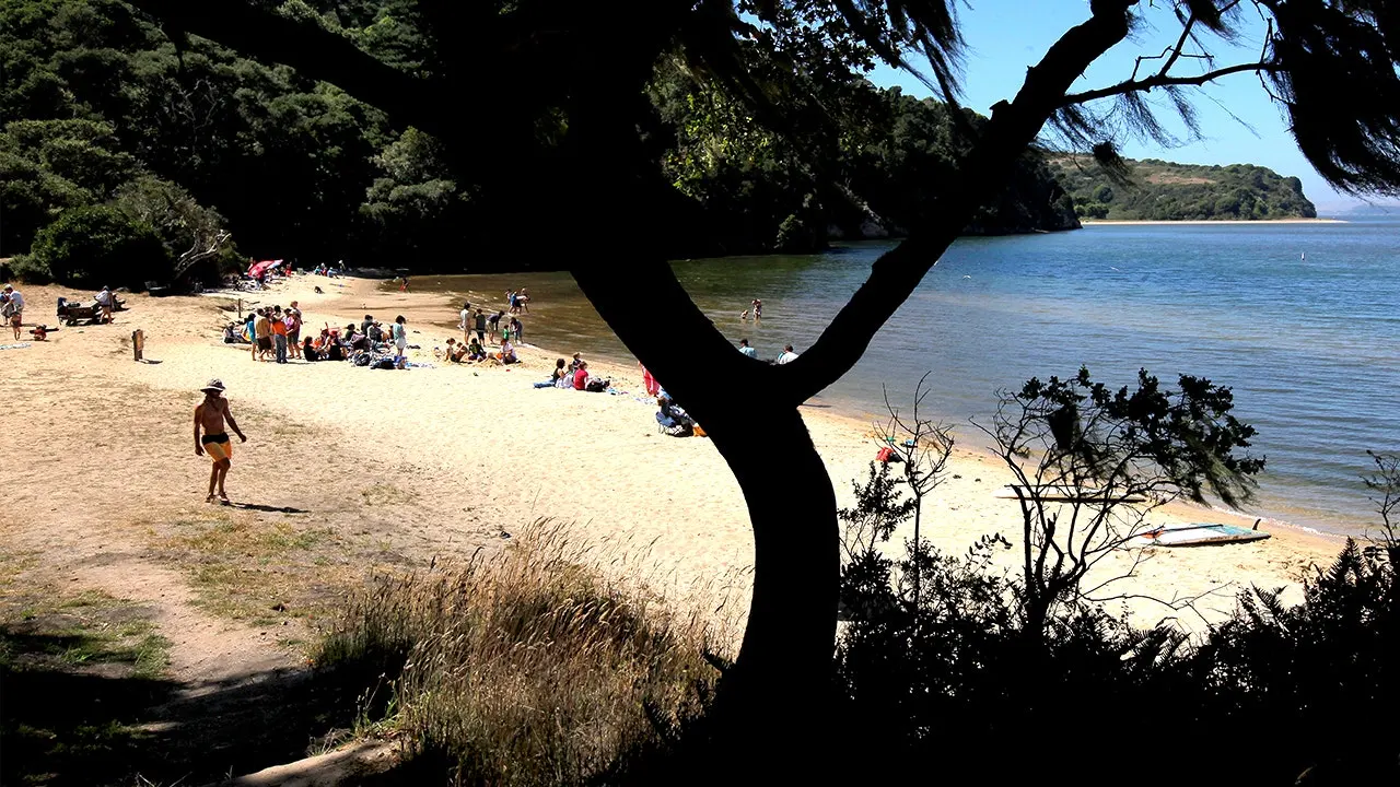 Two canoeists found dead on Tomales Bay after midnight canoe trip as inquiry begins