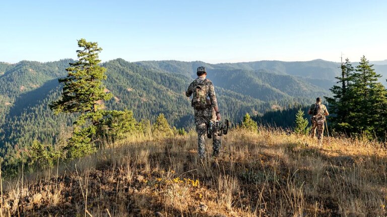 Montana hunter drives himself home after grizzly bear attack near Augusta