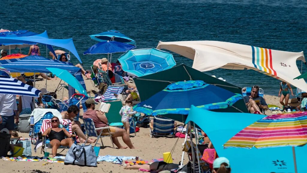 Cape Cod’s great white sharks are turning the area into an ecotourism hub