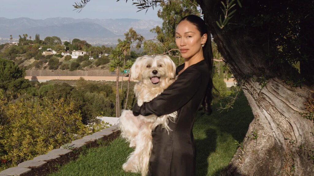 From Pet Care to Laundry: Why Everything’s Getting a Fashion Facelift