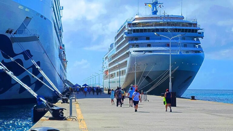 Princess Cruises raises Plus and Premier package prices on Oct 13; travelers react