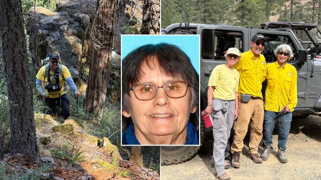 Mount Shasta missing hiker found alive days after a steep embankment fall
